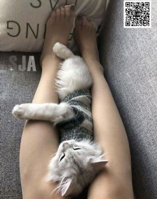 上海大风暴 电视剧