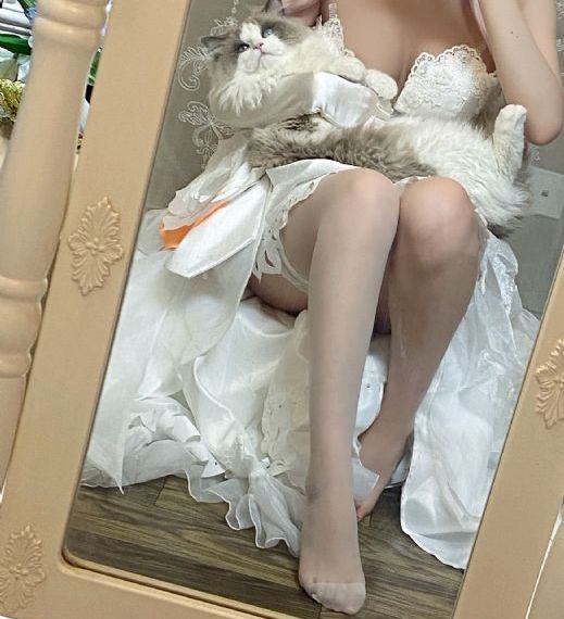 央视主持人:全红婵高智商高情商