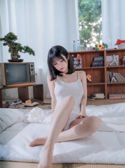 信泽慧海赛鸽公棚