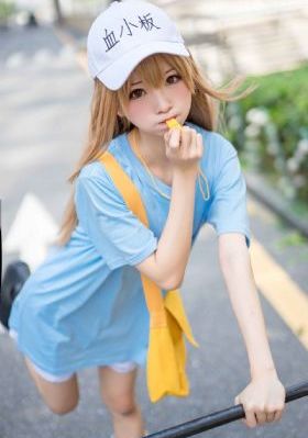 功夫小蝇