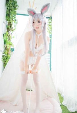 将军家的小娘子电视剧免费观看全集