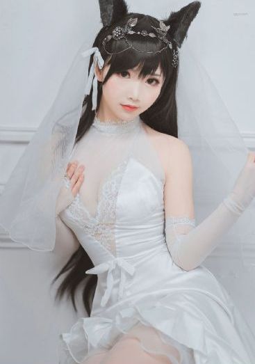 完美世界动漫免费全集观看