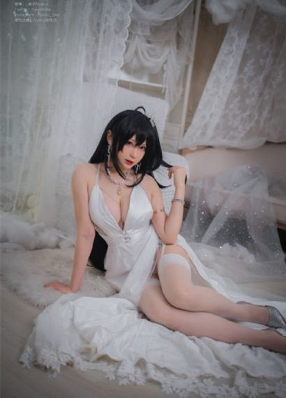 炽道电视剧全集免费观看