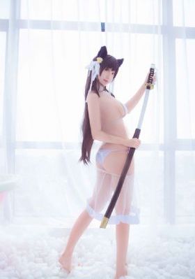 嫂子的职业完整版
