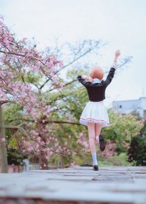 繁花 国语 免费